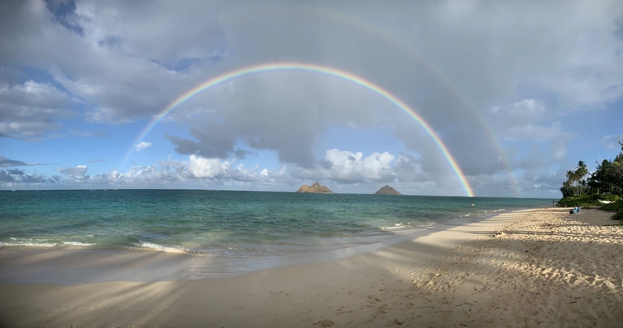 Un arc-en-ciel au-dessus de l’océan et d’une plage bordée de palmiers